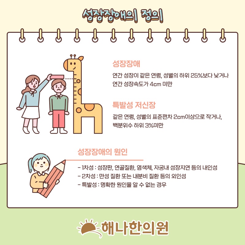 키 성장에 영향을 주는 성장호르몬의 기능